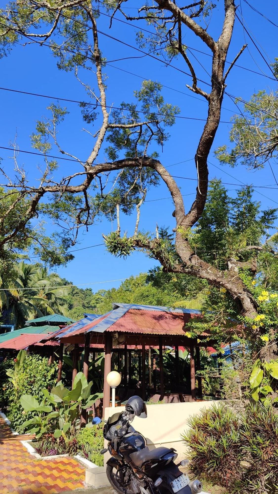 Nancowry Resort Govind Nagar Exterior foto